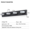 4-Light Modern Black LED Vanity Light Fixture